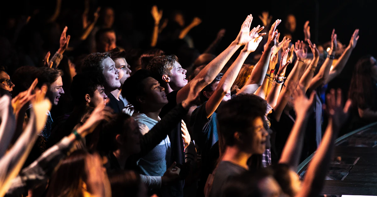 people raising their hands during night time