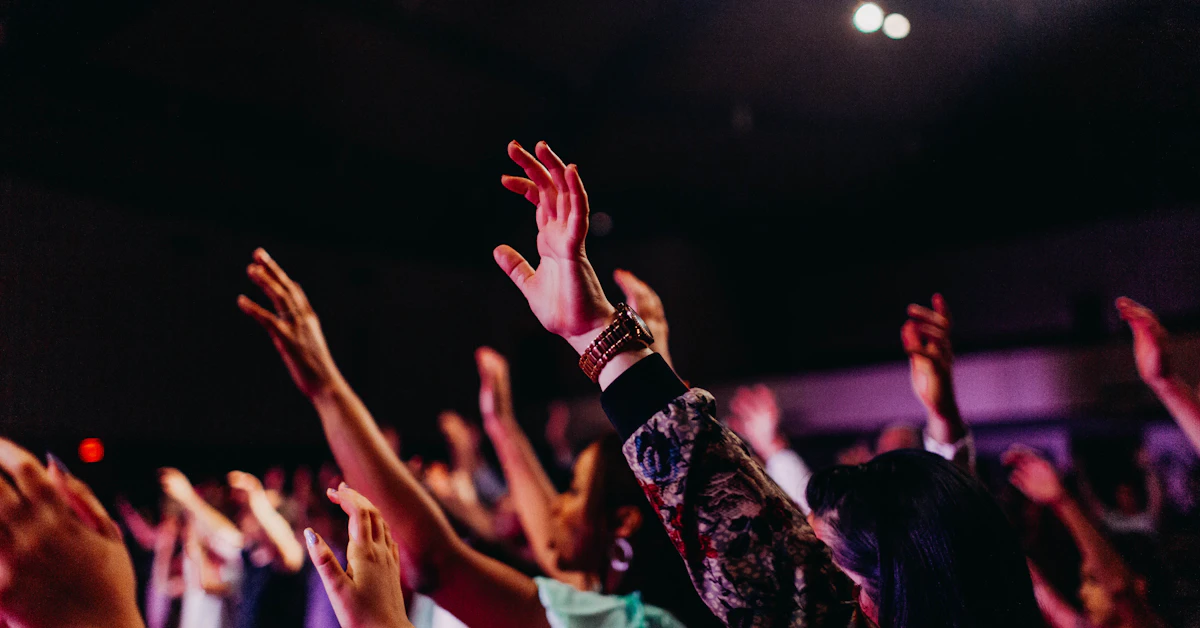 people raising their hands up