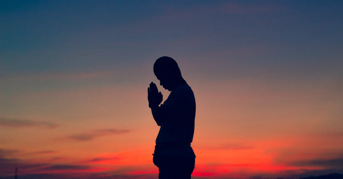 silhouette of man during sunset